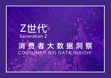 Z世代消费者大数据洞察